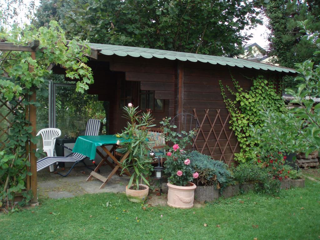 Ferienwohnung Anna Scheid Kelberg Buitenkant foto